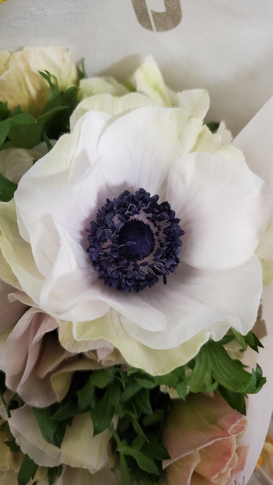 FlowerWorks Heidelberg