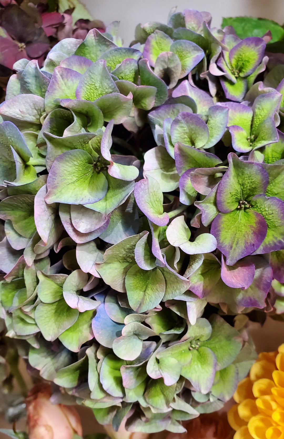 FlowerWorks Heidelberg