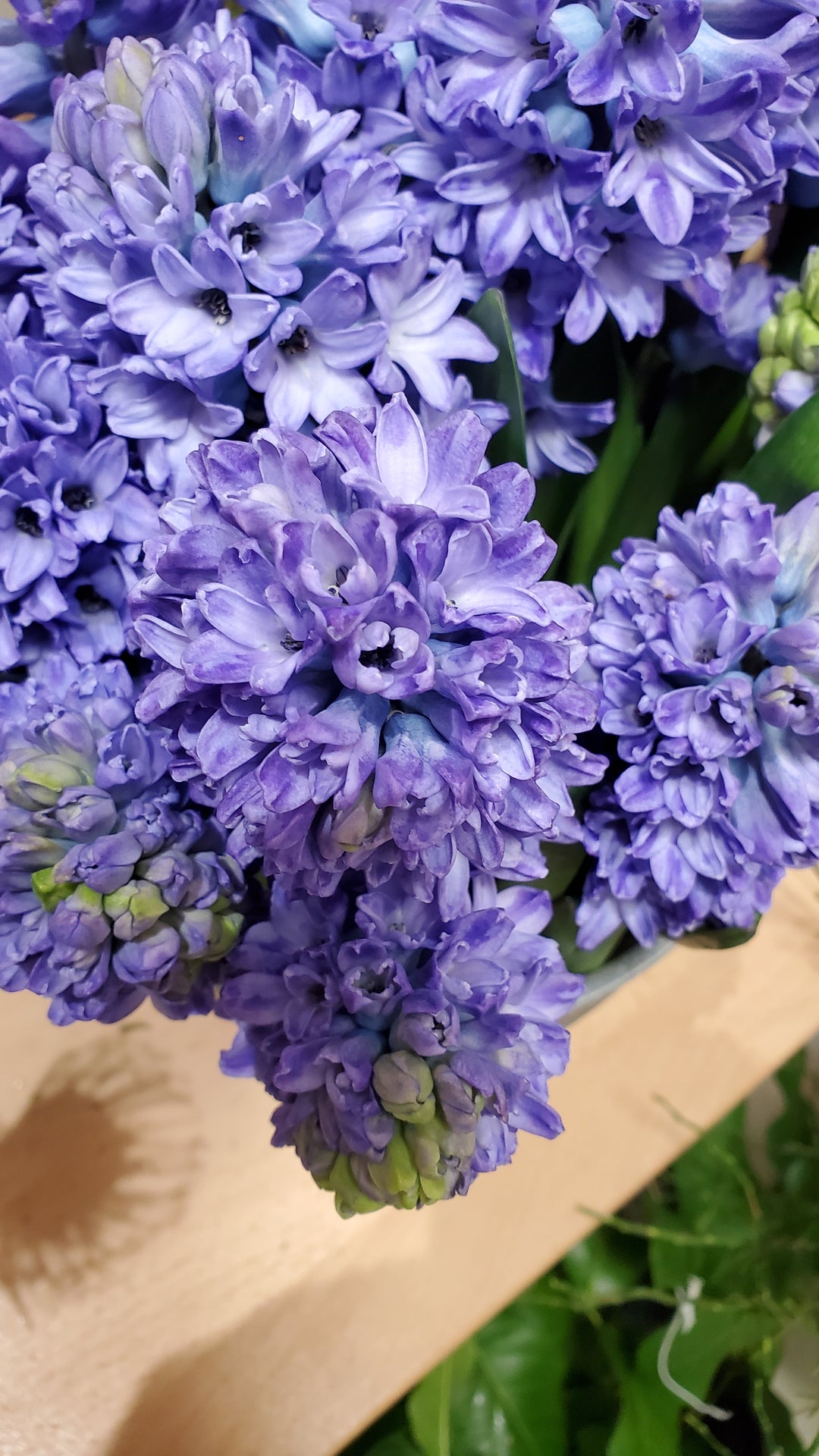 FlowerWorks Heidelberg