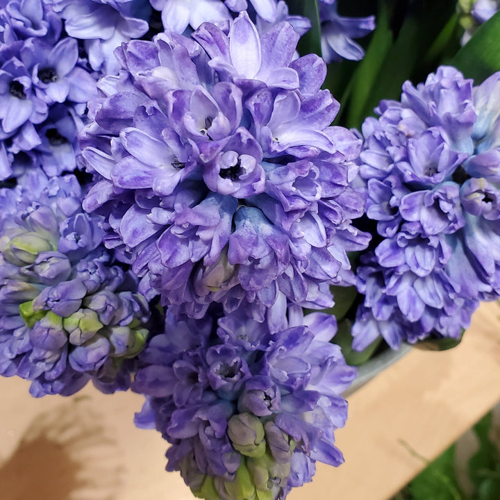 FlowerWorks Heidelberg