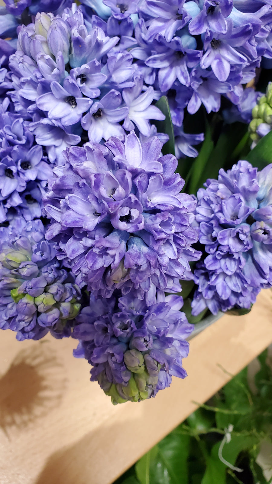 FlowerWorks Heidelberg