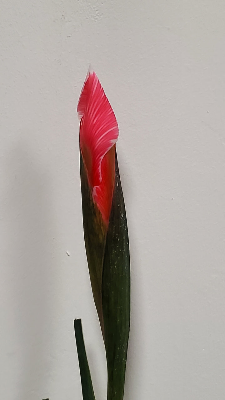 FlowerWorks Heidelberg