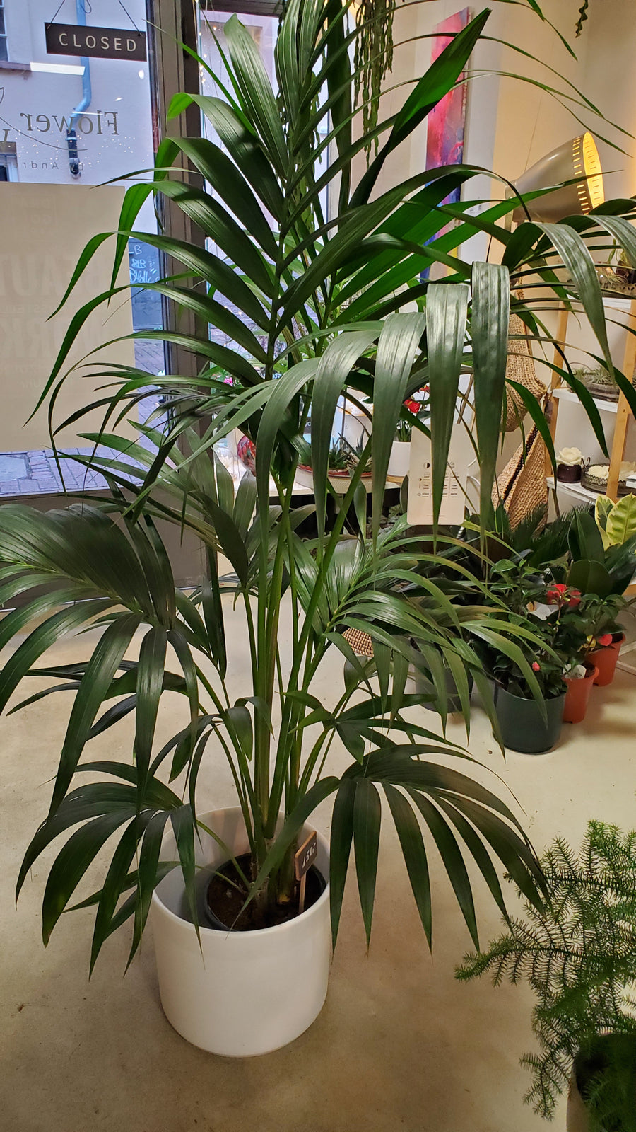 FlowerWorks Heidelberg