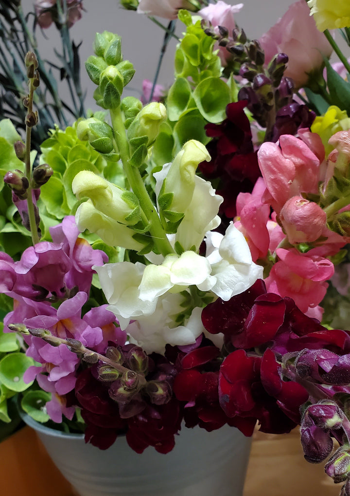 Blumenladen in Heidelberg