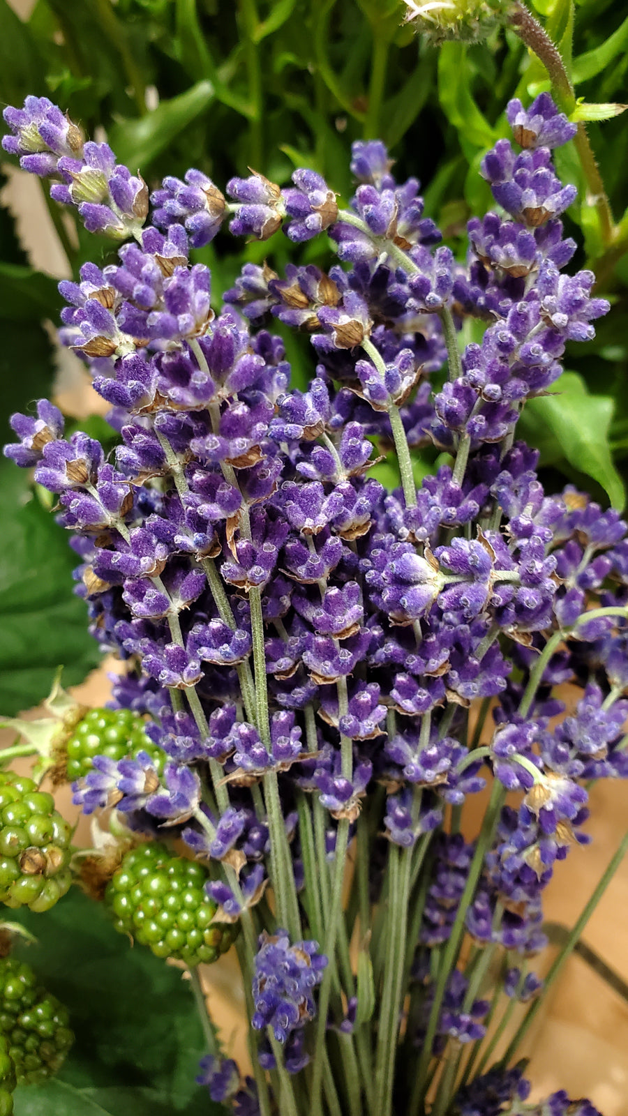 Blumenladen in Heidelberg