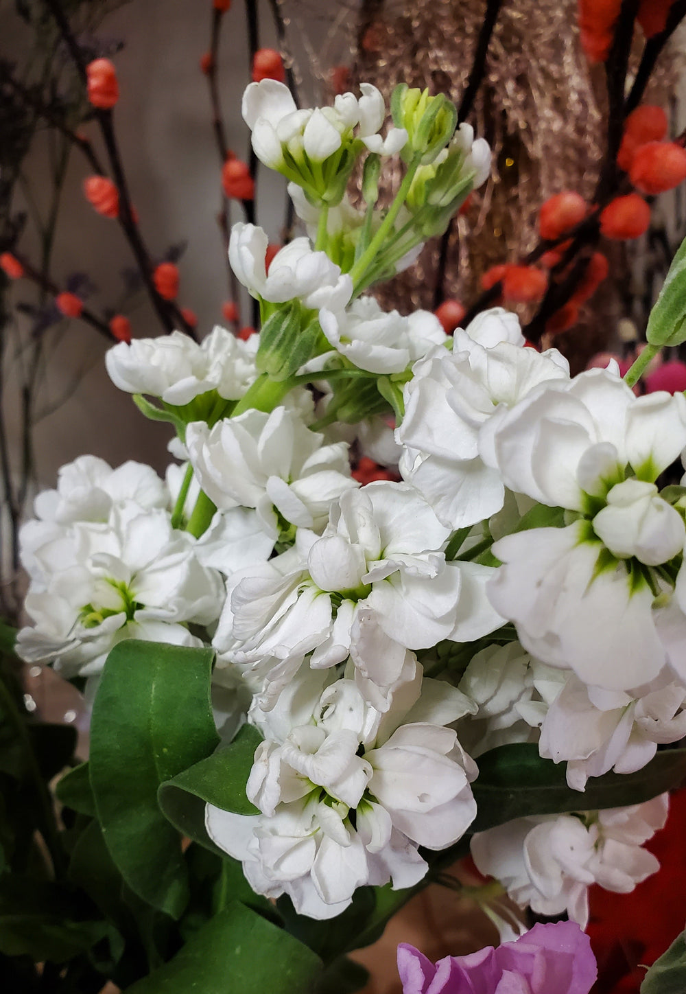 Blumenladen in Heidelberg
