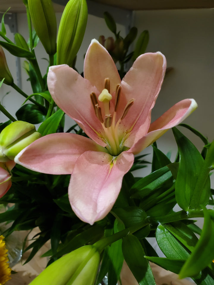 FlowerWorks Heidelberg