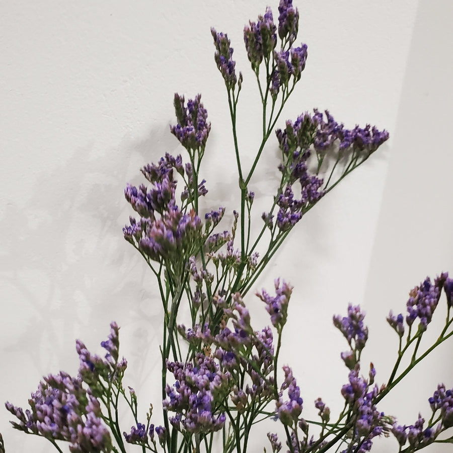 FlowerWorks Heidelberg