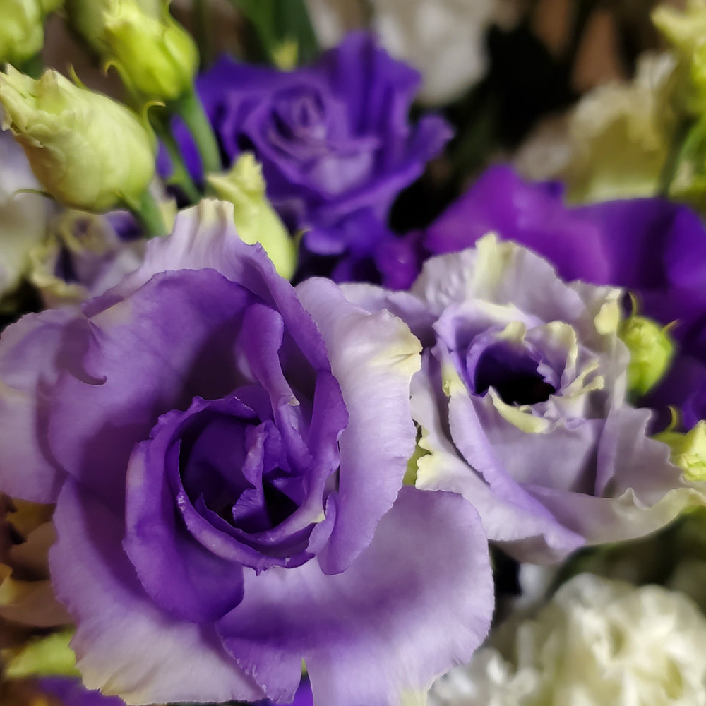 FlowerWorks Heidelberg