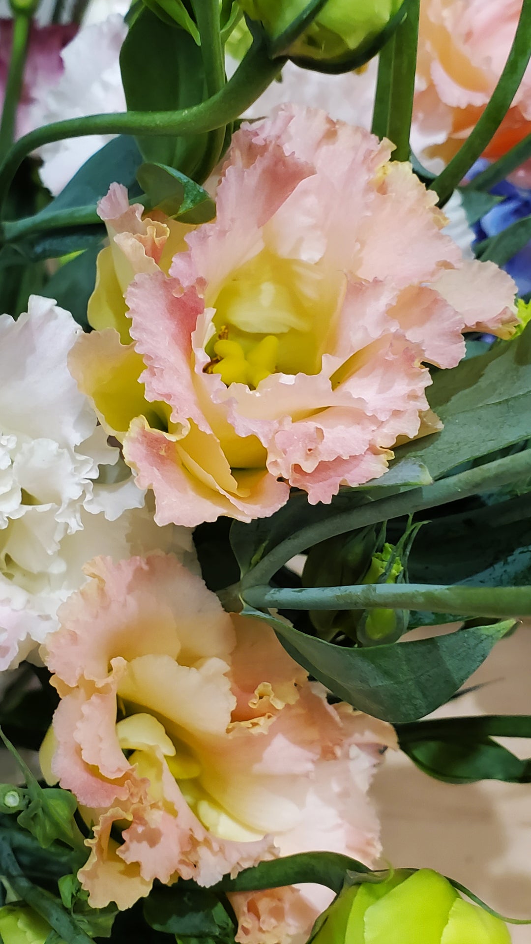 FlowerWorks Heidelberg