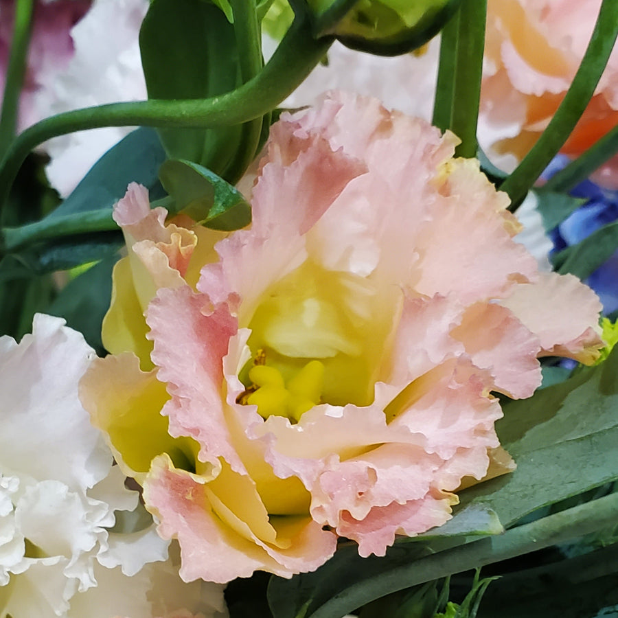 FlowerWorks Heidelberg