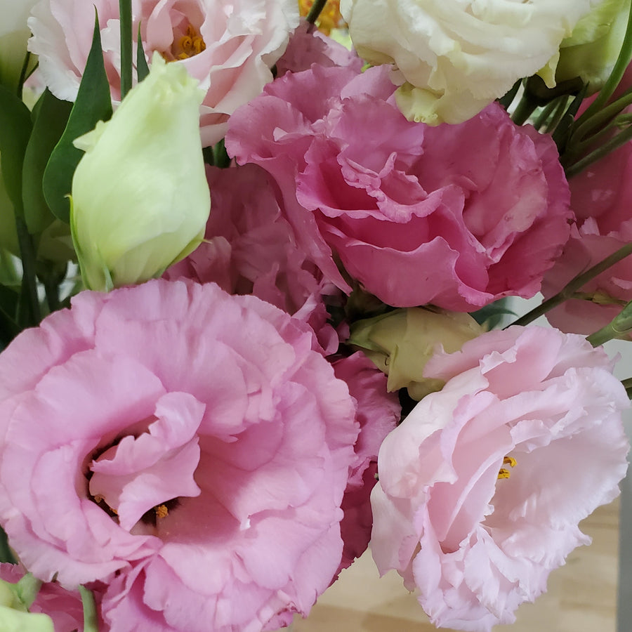 FlowerWorks Heidelberg