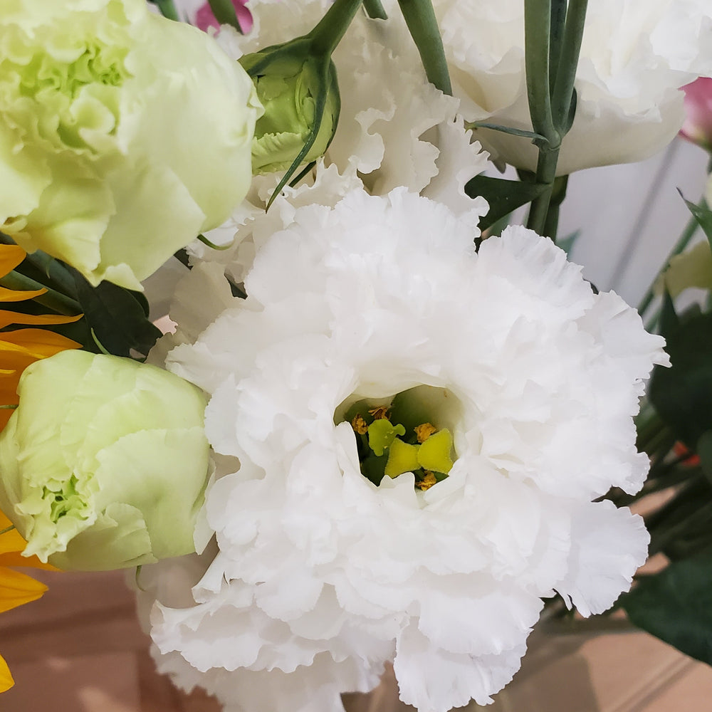 FlowerWorks Heidelberg