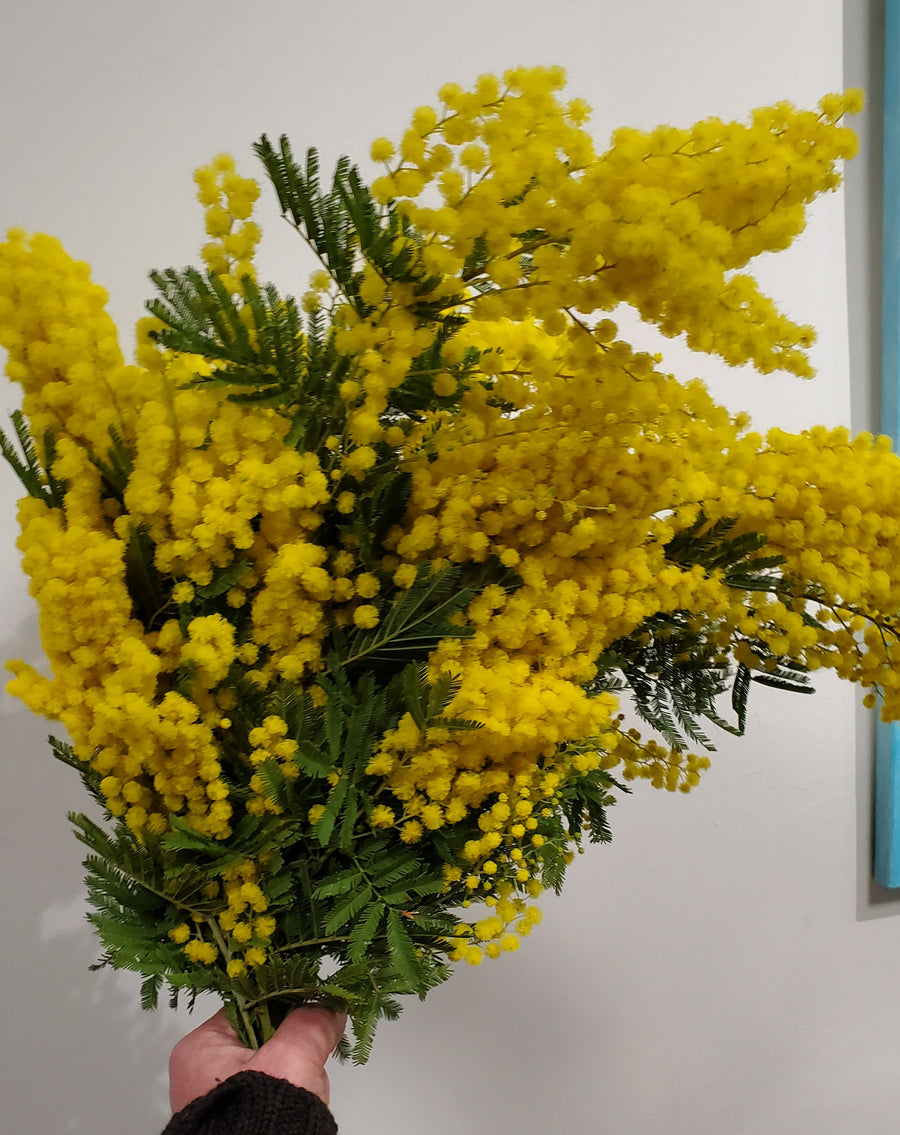 FlowerWorks Heidelberg