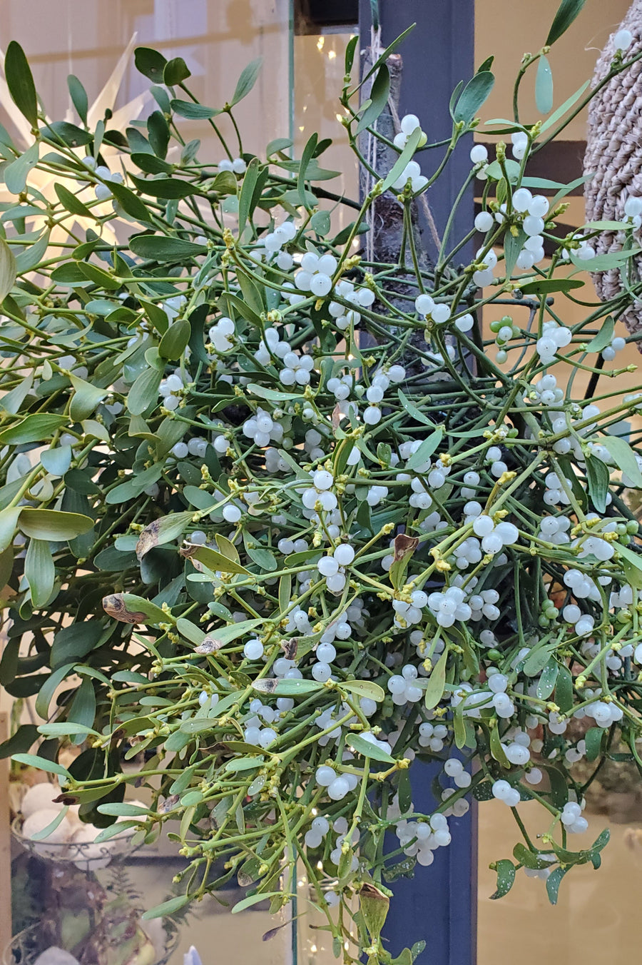 FlowerWorks Heidelberg