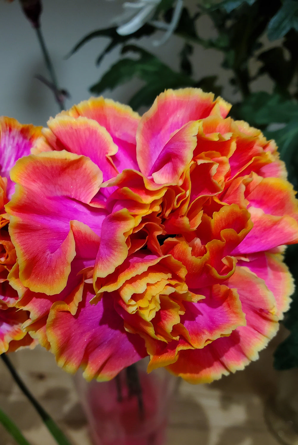 FlowerWorks Heidelberg