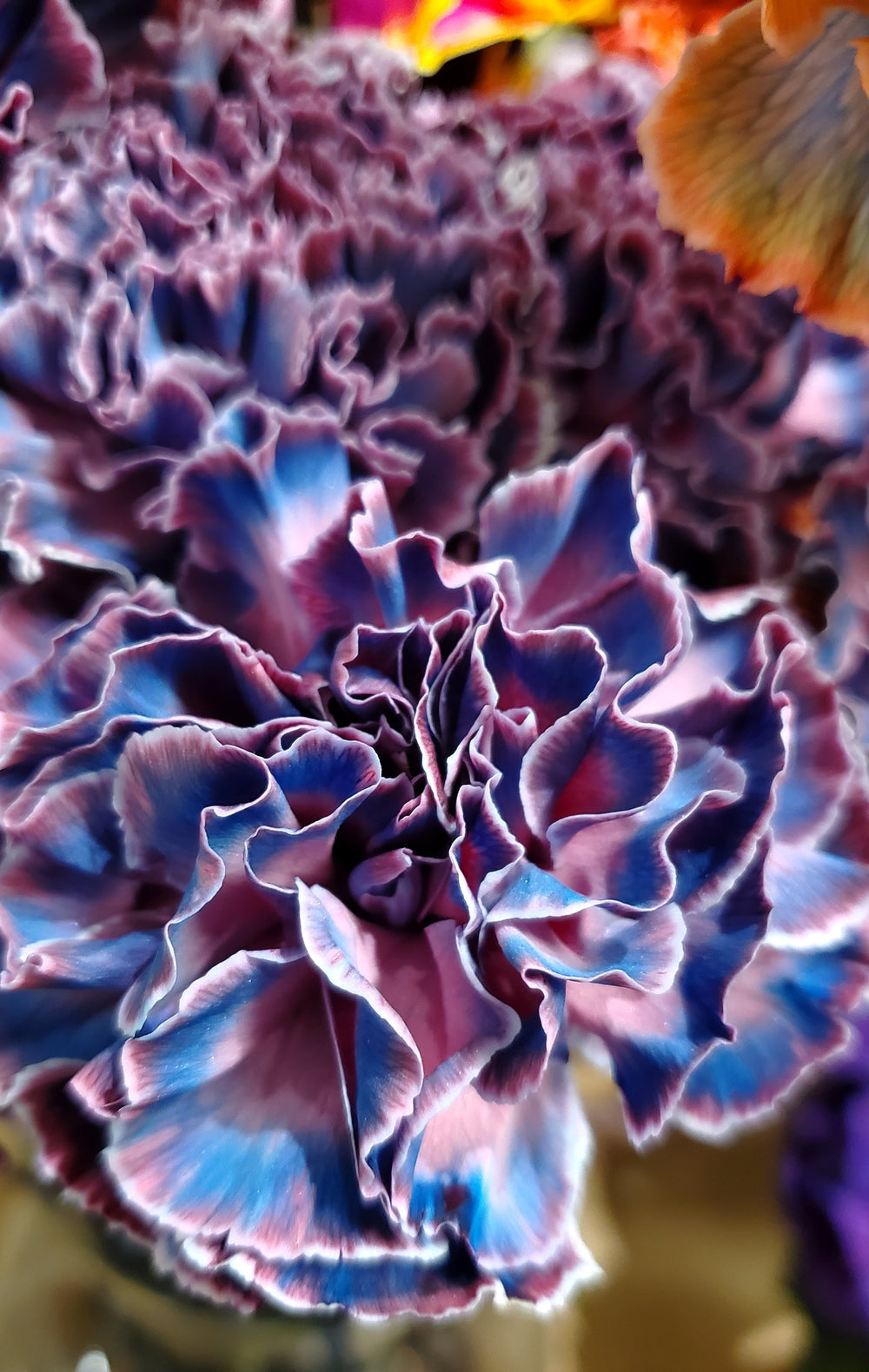 Blumenladen in Heidelberg