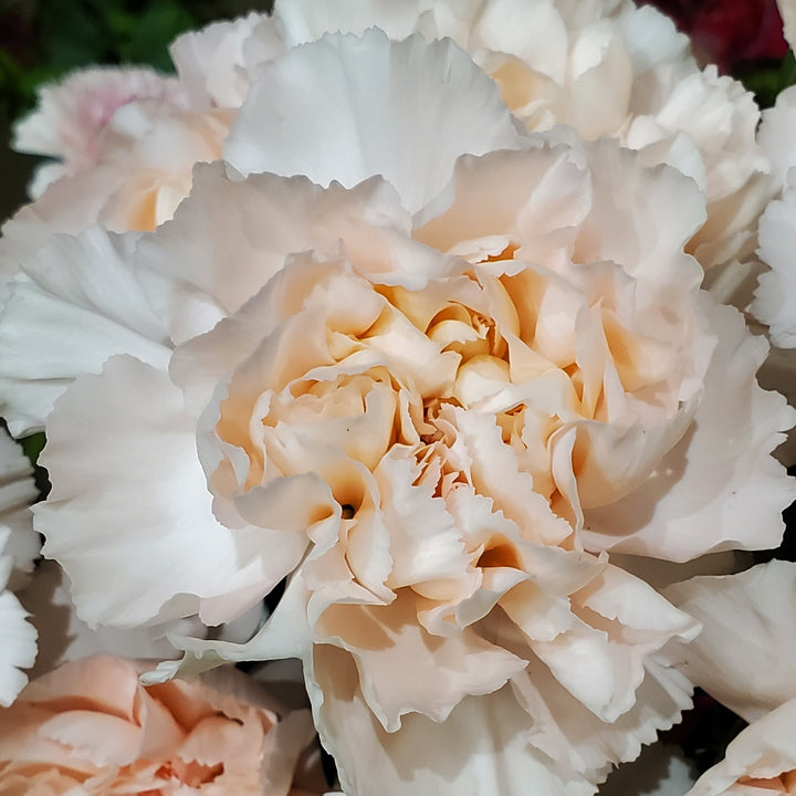 Blumen