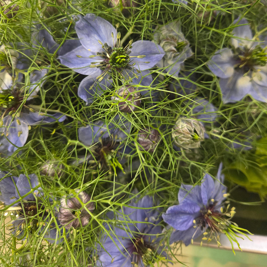 Blumenladen in Heidelberg