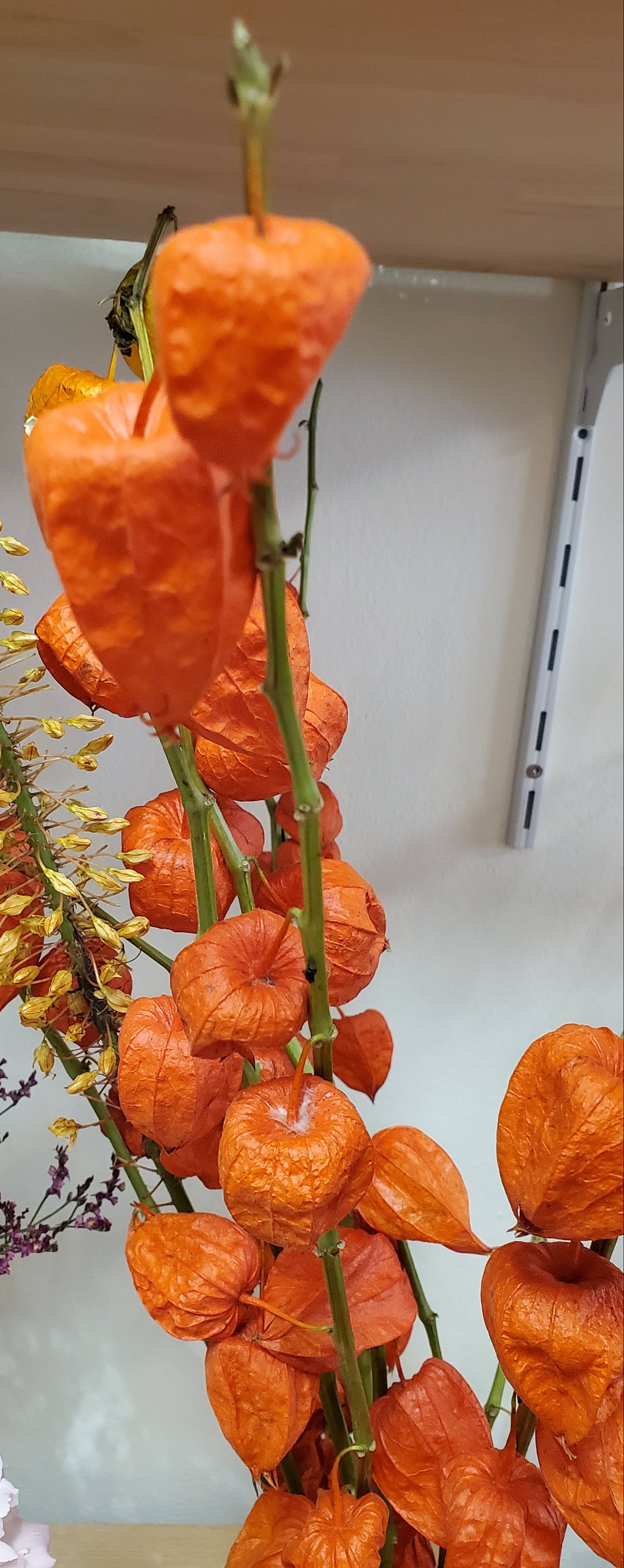 Blumen in Heidelberg
