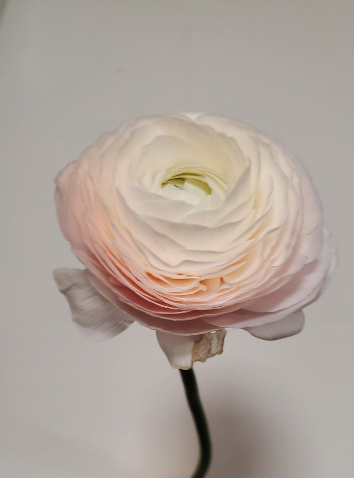 FlowerWorks Heidelberg