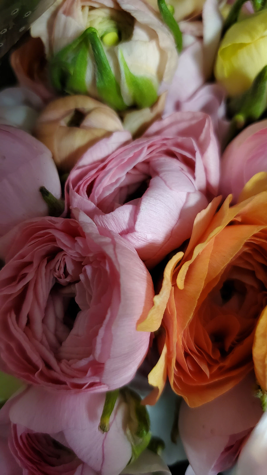 FlowerWorks Heidelberg