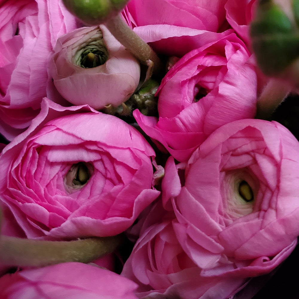 FlowerWorks Heidelberg