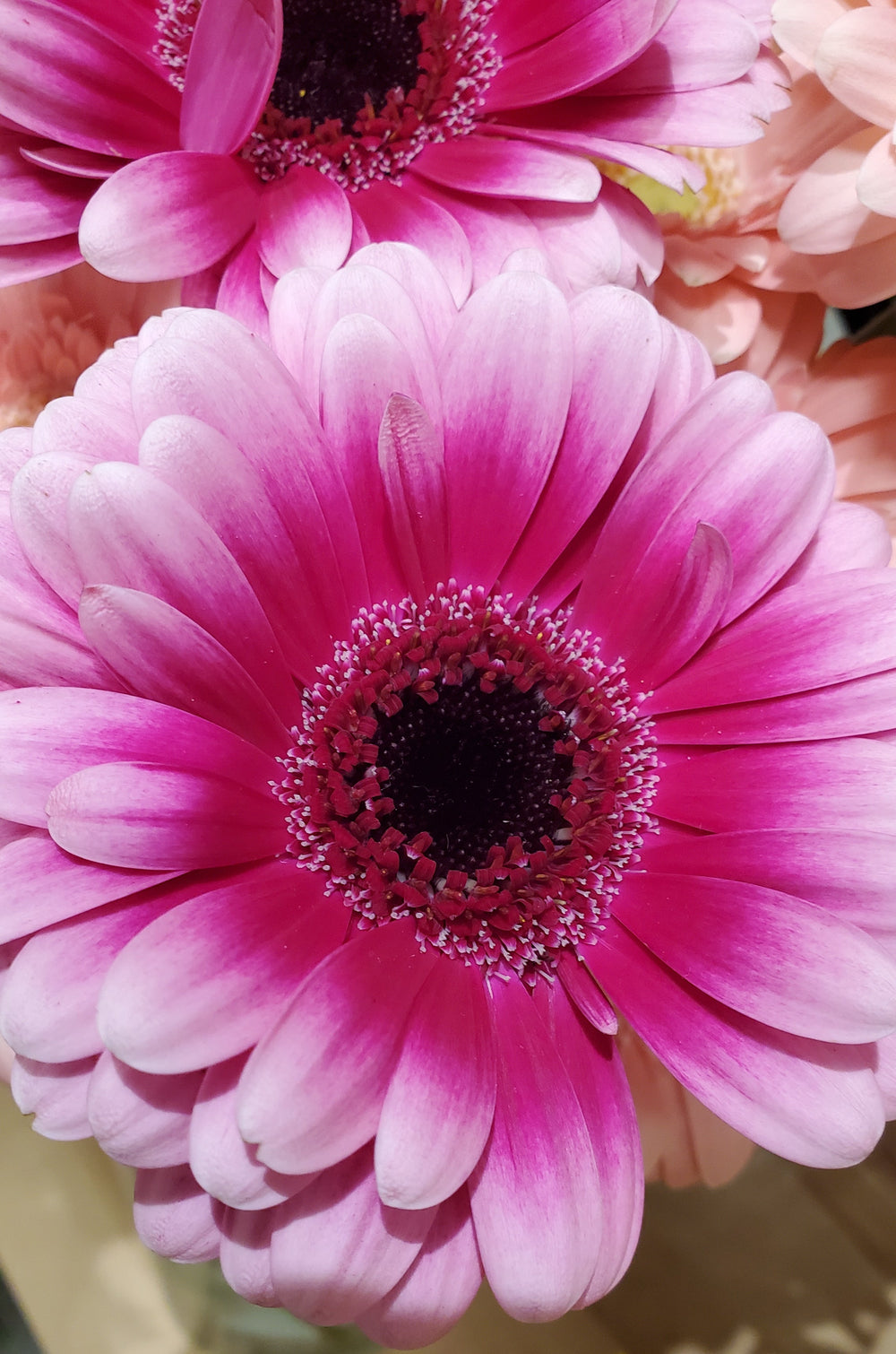 FlowerWorks Heidelberg