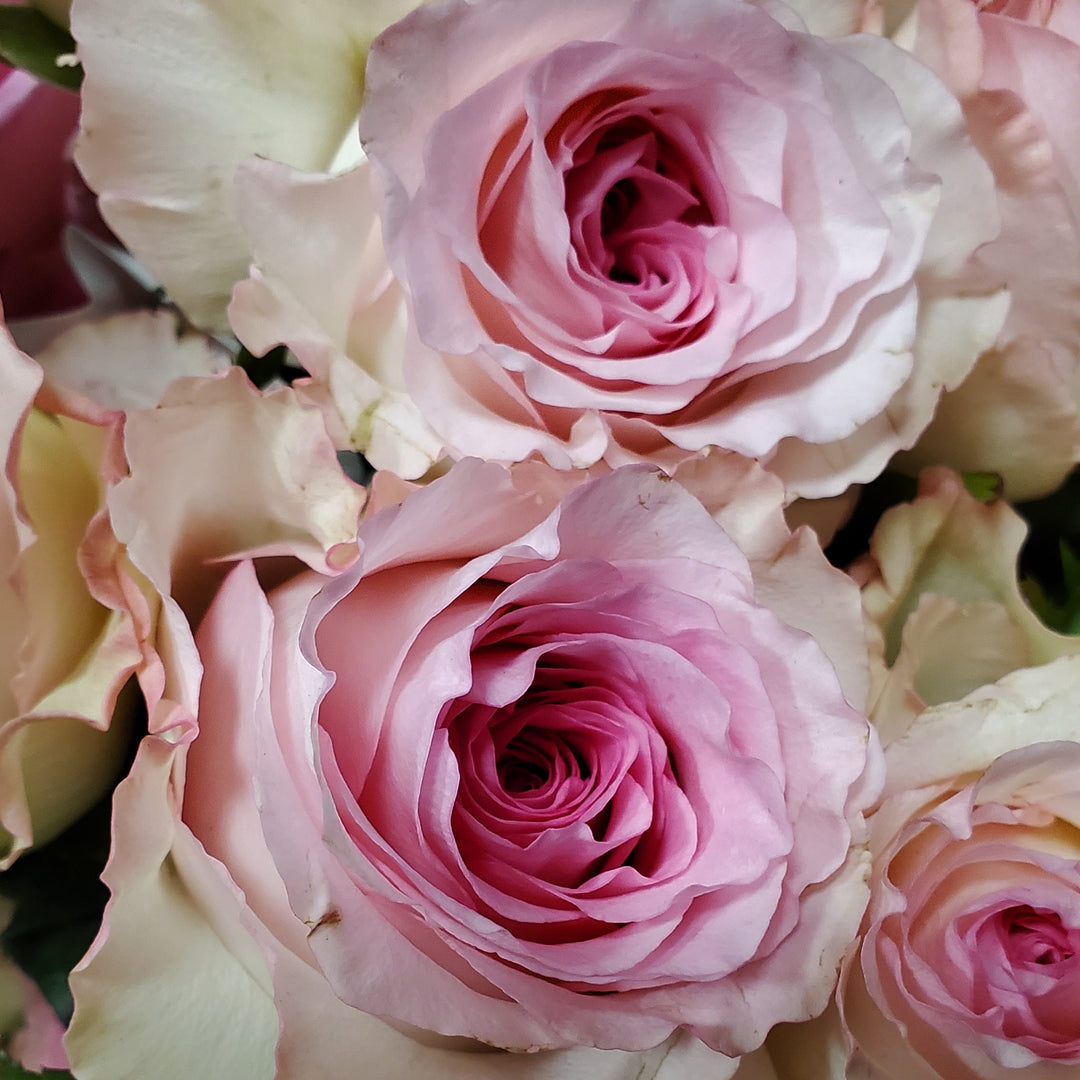 FlowerWorks Heidelberg