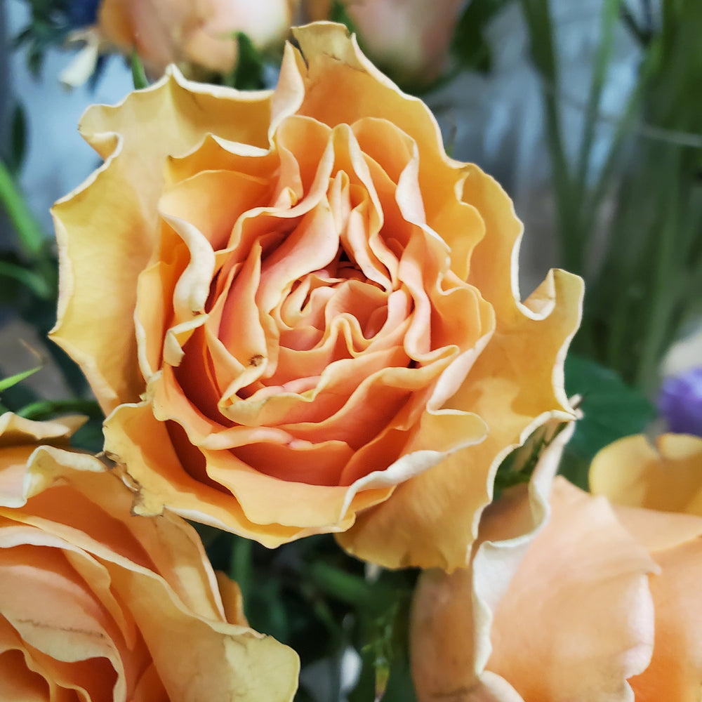 FlowerWorks Heidelberg