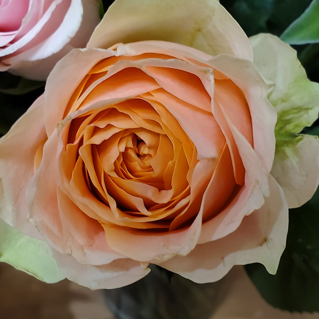 FlowerWorks Heidelberg