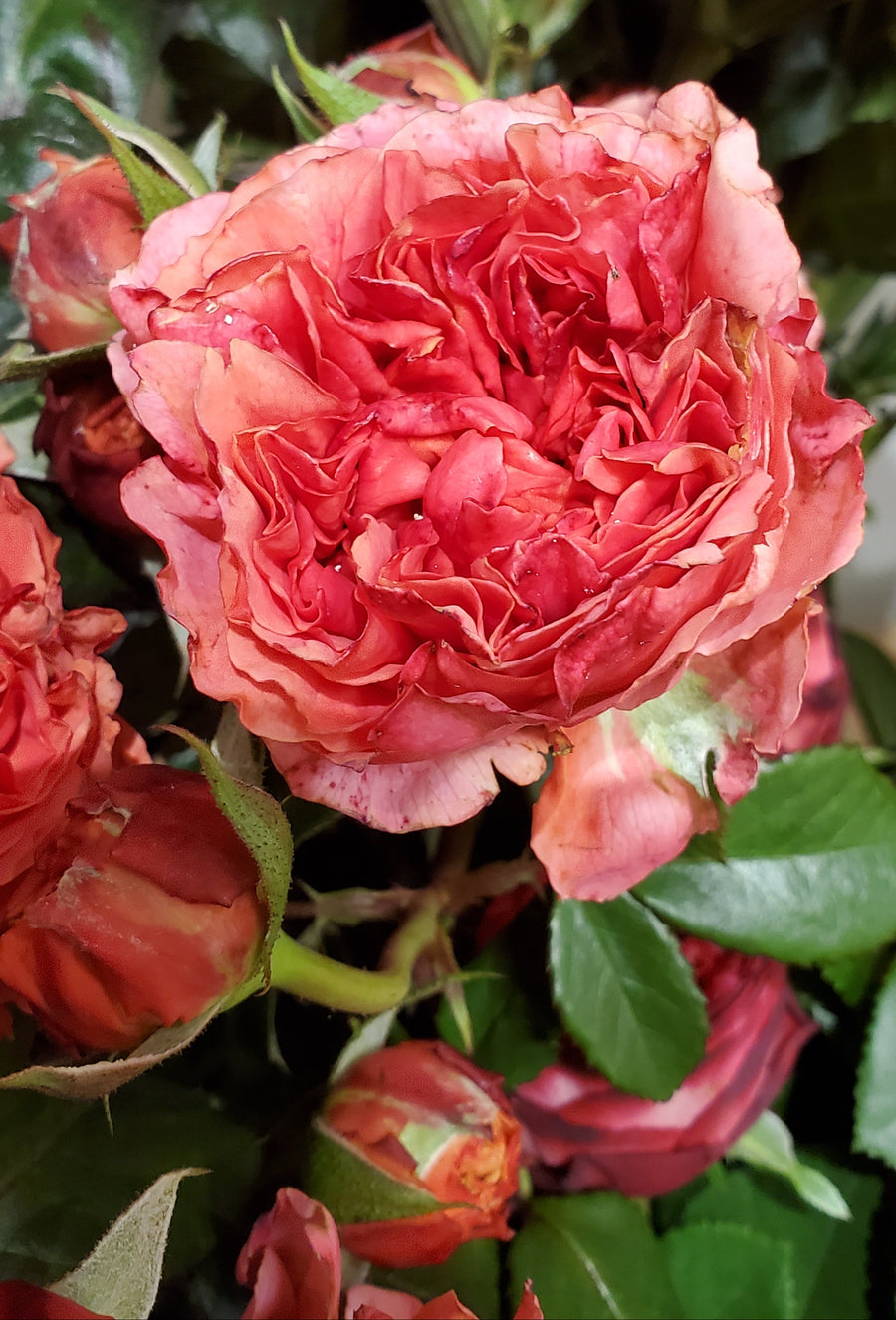 FlowerWoprks Heidelberg