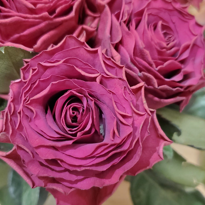 FlowerWorks Heidelberg