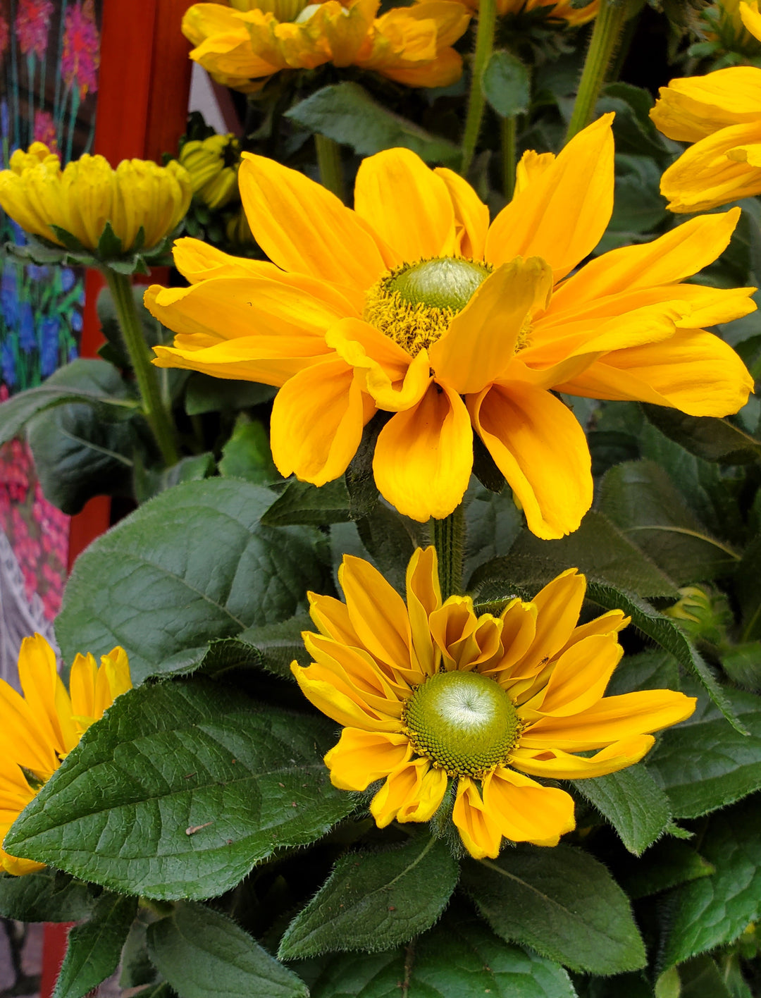 Blumenladen in Heidelberg