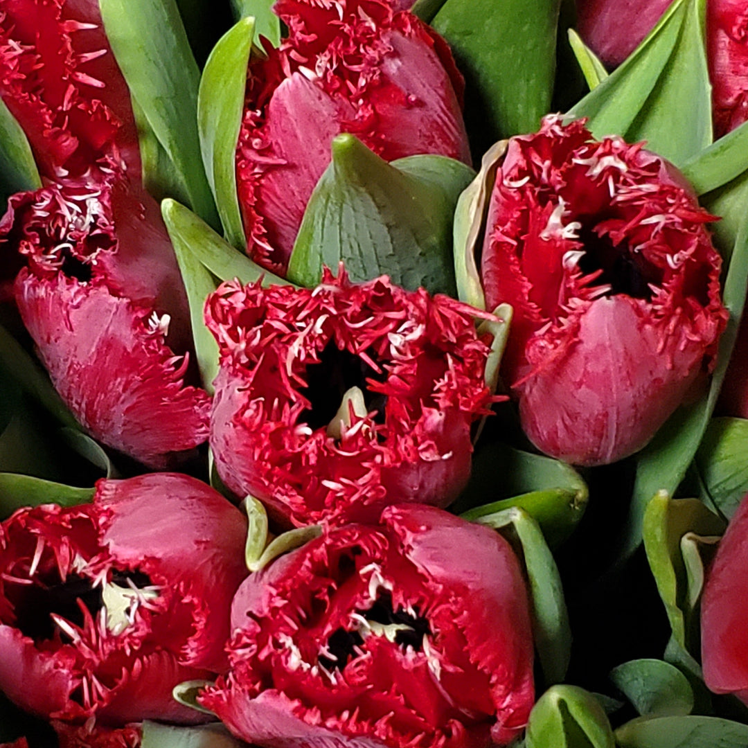 FlowerWorks Heidelberg