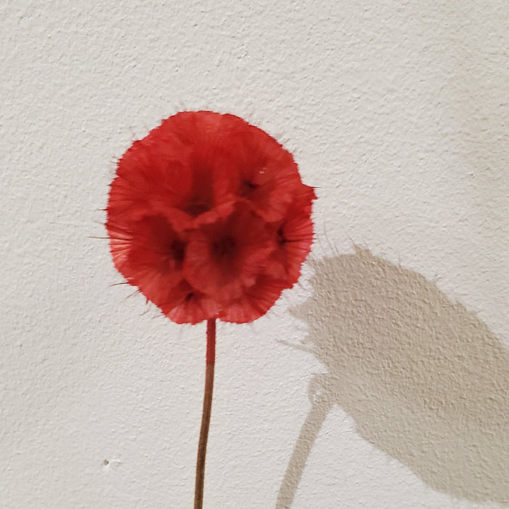 FlowerWorks Heidelberg