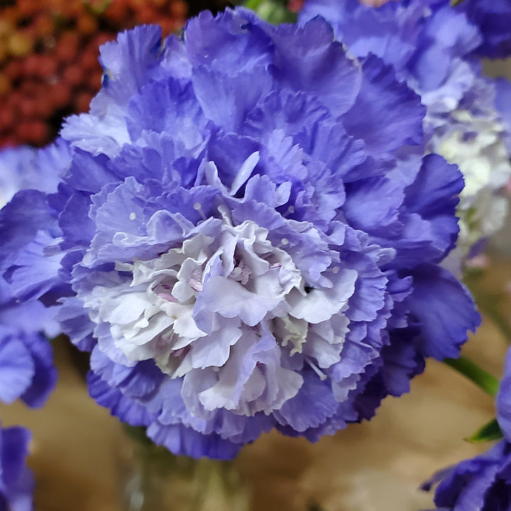 FlowerWorks Heidelberg