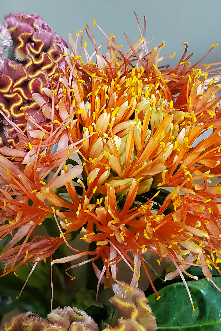 Blumenladen in Heidelberg