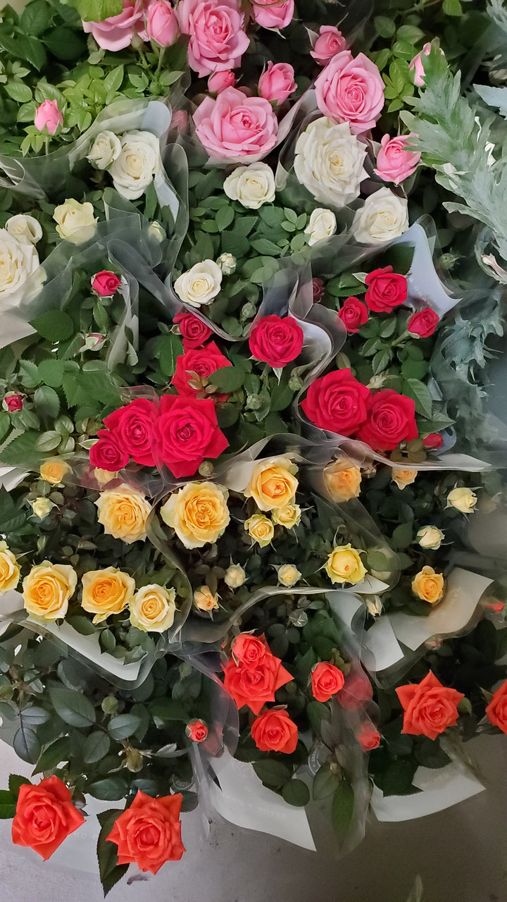 Blumen in Heidelberg