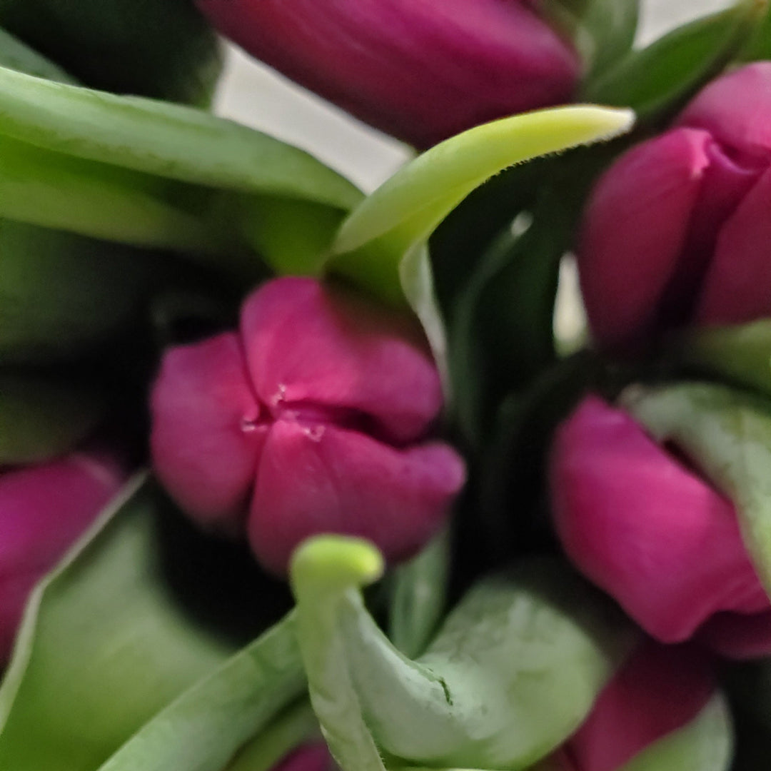 FlowerWorks Heidelberg