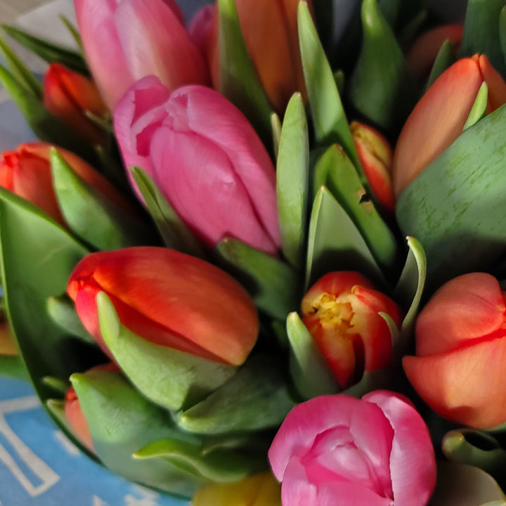 FlowerWorks Heidelberg