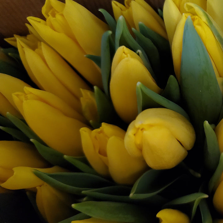 FlowerWorks Heidelberg