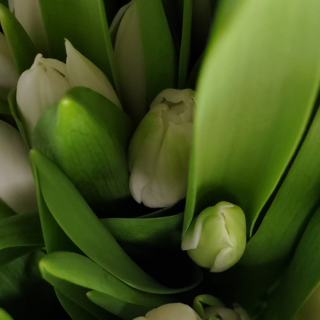 FlowerWorks Heidelberg