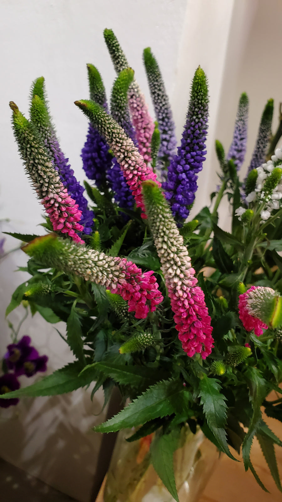 Blumenladen in Heidelberg