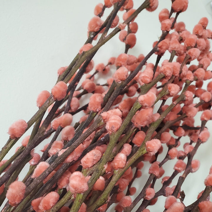 FlowerWorks Heidelberg