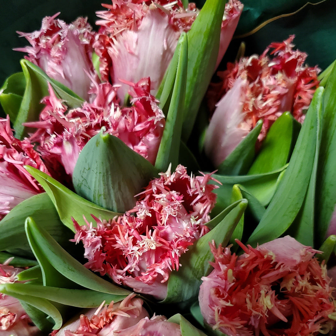 FlowerWorks Heidelberg