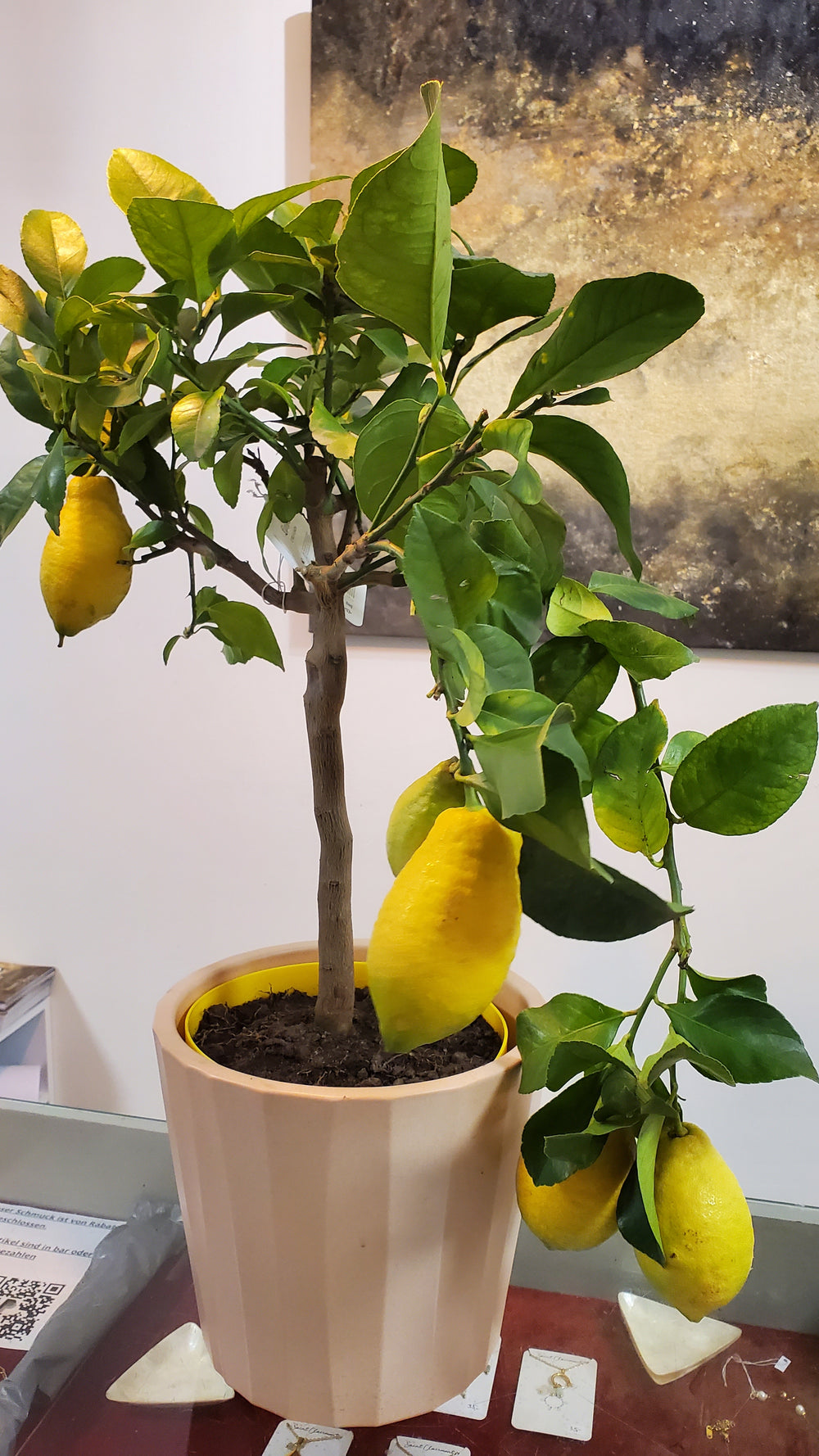 FlowerWorks Heidelberg