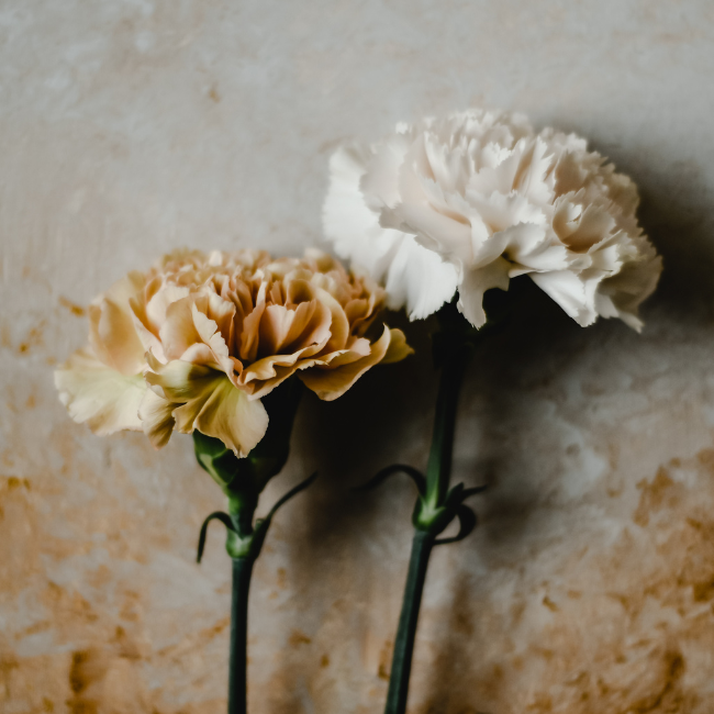 FlowerWorks Heidelberg