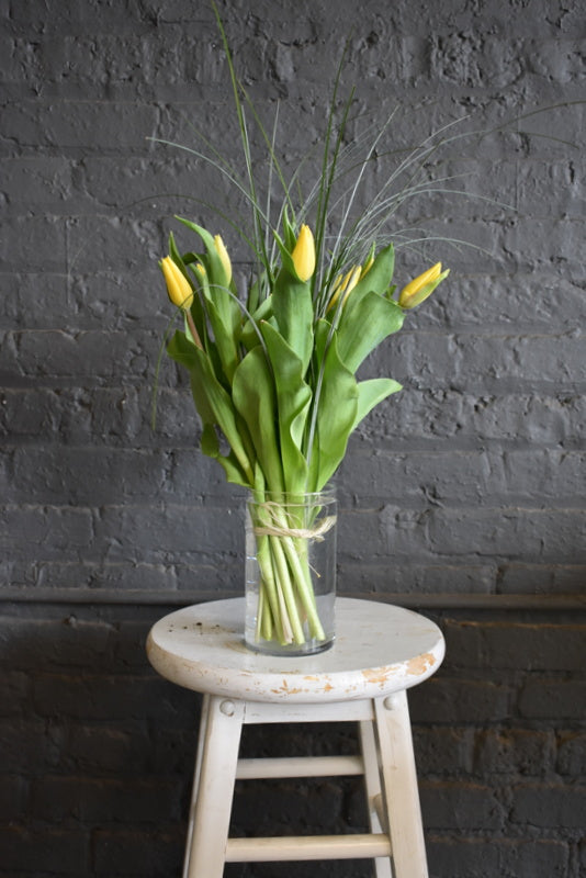 Fröhlicher Frühling!