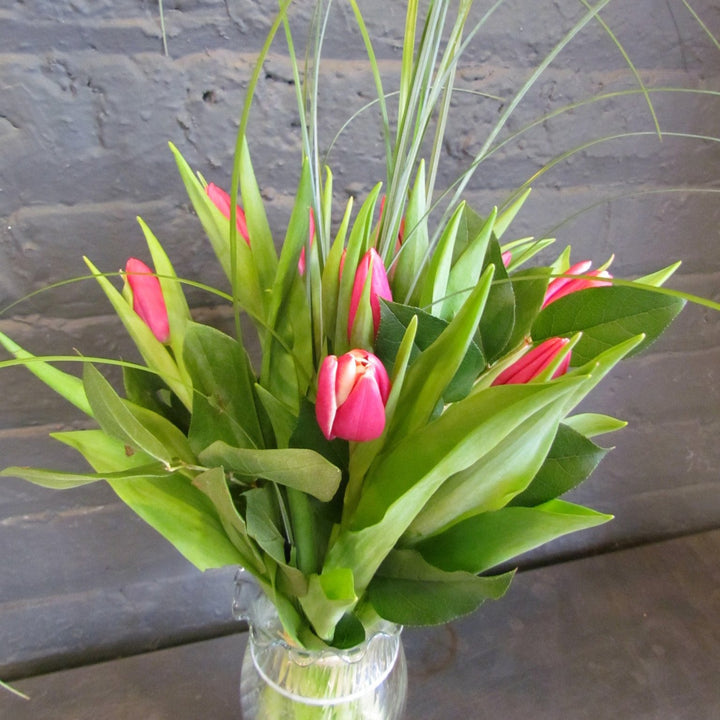 Fröhlicher Frühling!